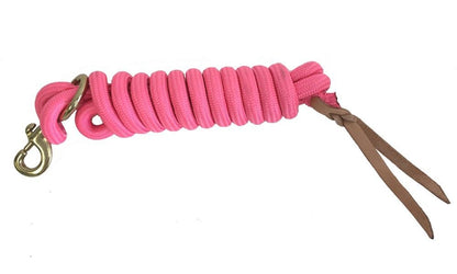 AJ Tack 9 Foot Nylon Lead Rope with Leather Popper