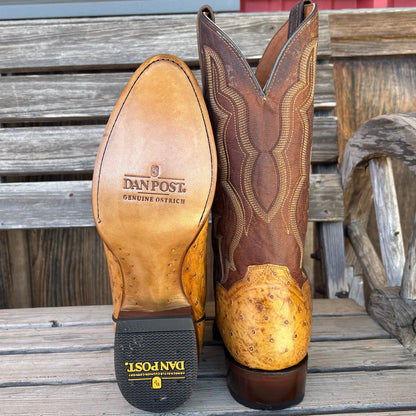 Gehrig Full Quill Ostrich | Dan Post
