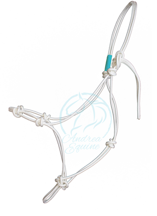 Stiff 4 Knot Clinician Training Halter