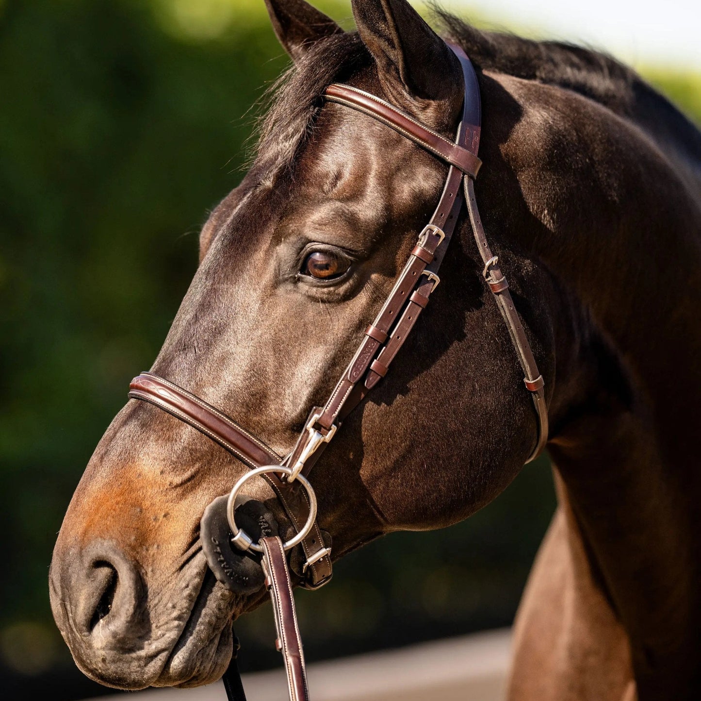Huntley Equestrian Sedgwick Fancy Stitched Bridle with Cheek Clips and Reins
