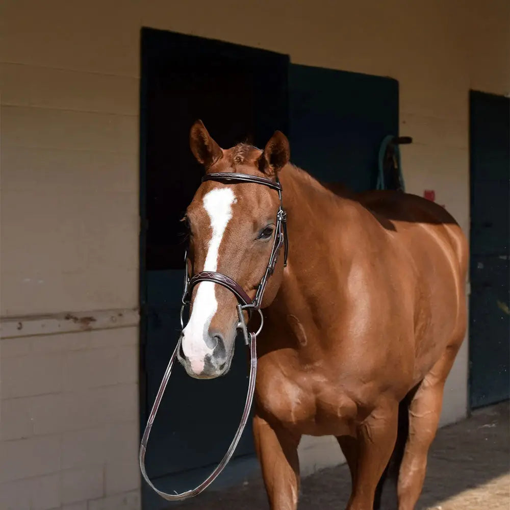 Huntley Equestrian Sedgwick Fancy Stitched Square Raised Hunter Horse Bridle with Reins