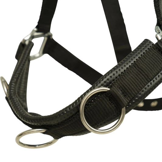 Huntley Nylon Padded Lunging Caveson, Black