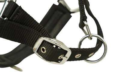 Huntley Nylon Padded Lunging Caveson, Black