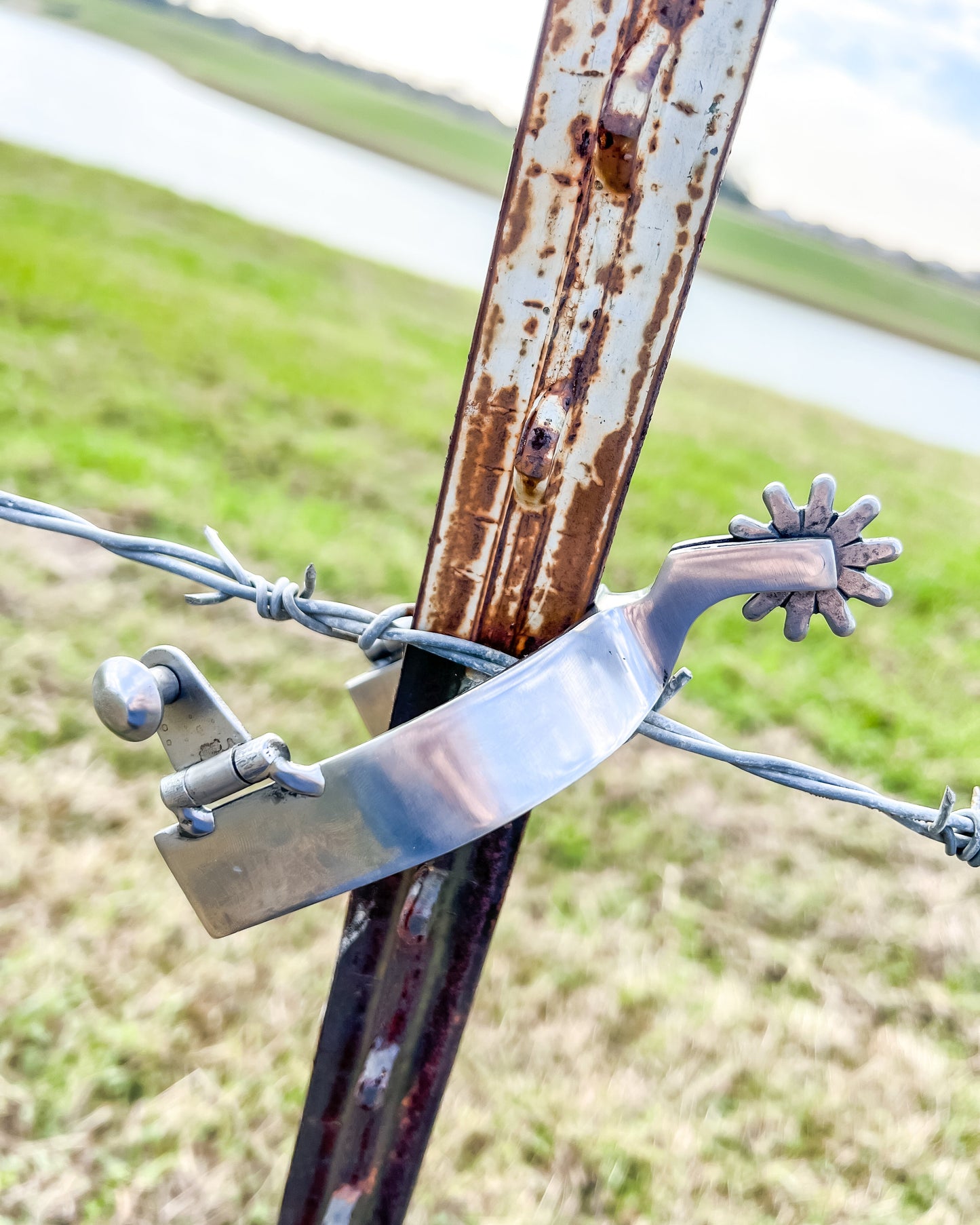 AJ Tack Men's Brushed Stainless Steel Spur