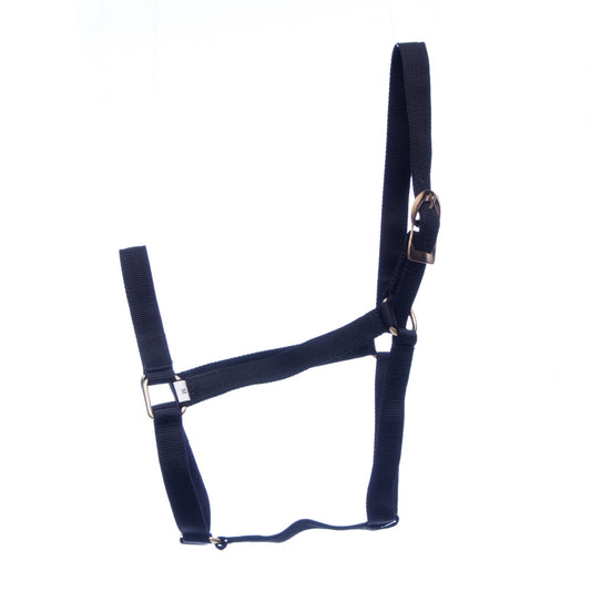 Jeffers Turnout Nylon Horse Halters, 2-Ply, 1"