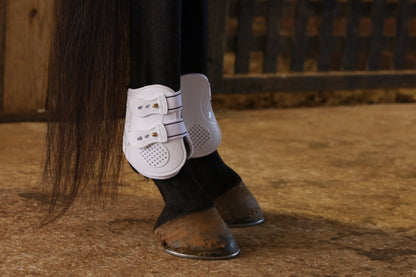 Jeffers Uniquely English Fetlock Boots for Horses, 2-Pack