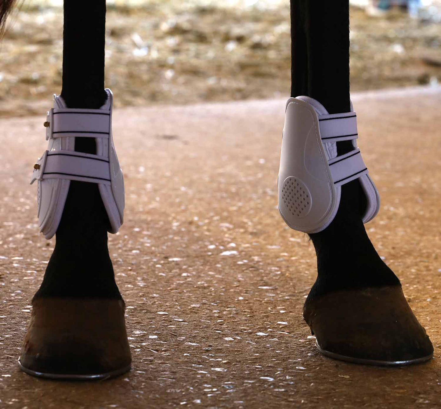 Jeffers Uniquely English Fetlock Boots for Horses, 2-Pack