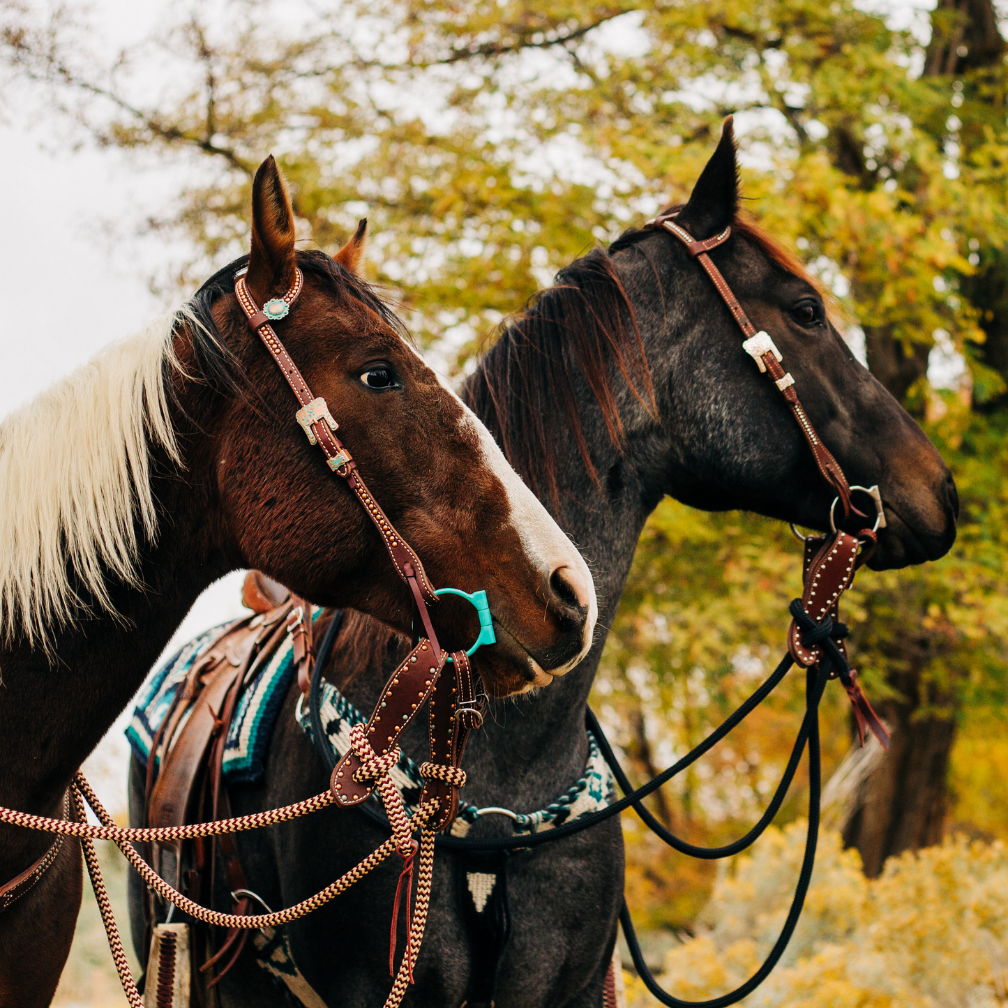 22 Ft Clinician Mecate Reins