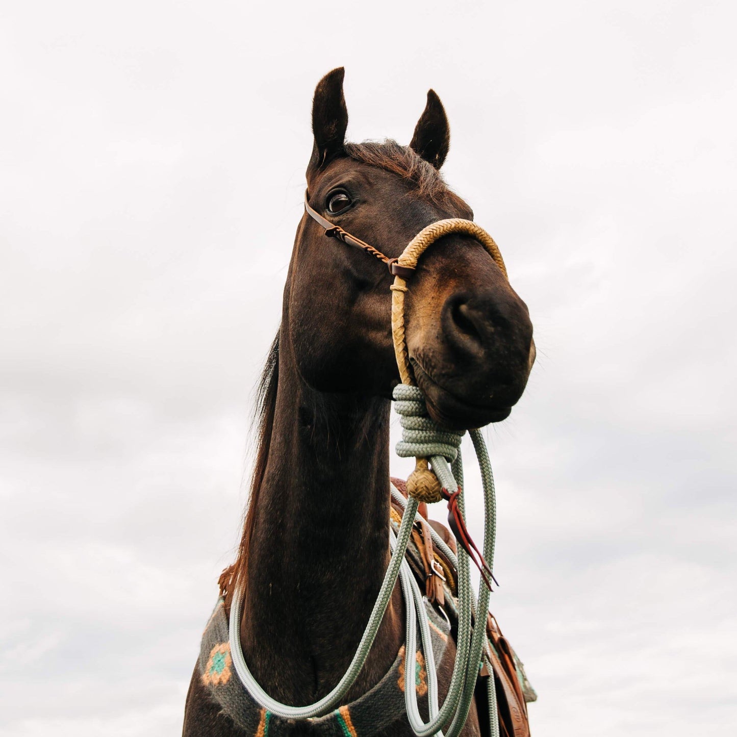 22 Ft Clinician Mecate Reins
